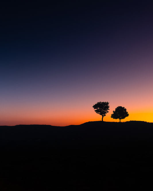 Landscape - Sunset